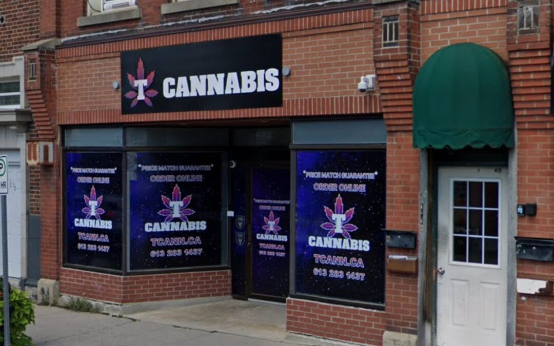 Retail cannabis revenue has increased year over year for 1CM in annual report