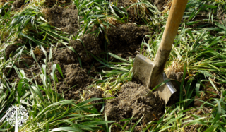 It Ain’t Over ‘til The Garden Bed Is Asleep – Fall Prep For A Healthier Spring
