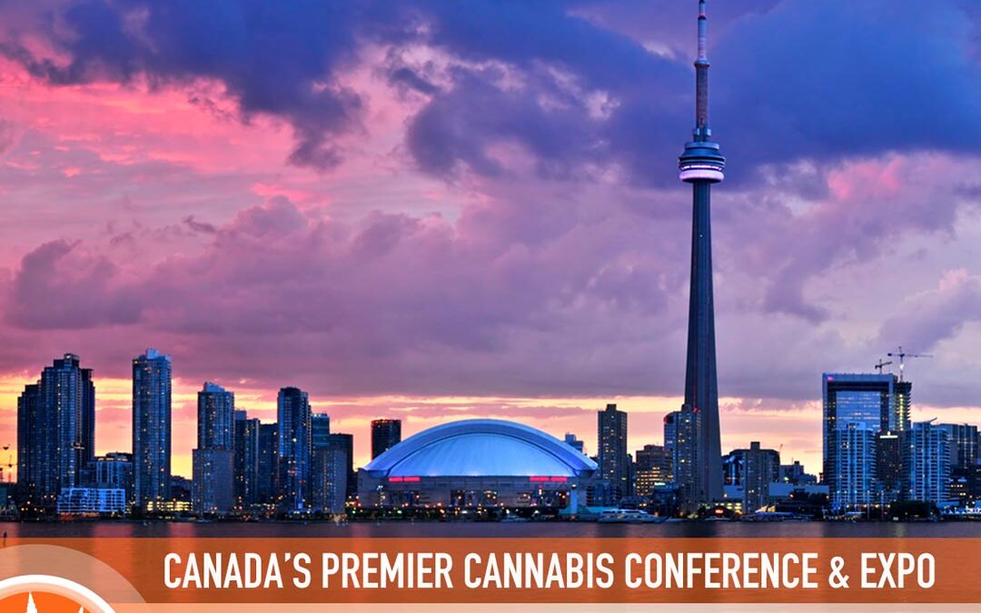 Announcing Grow Up Toronto 2024