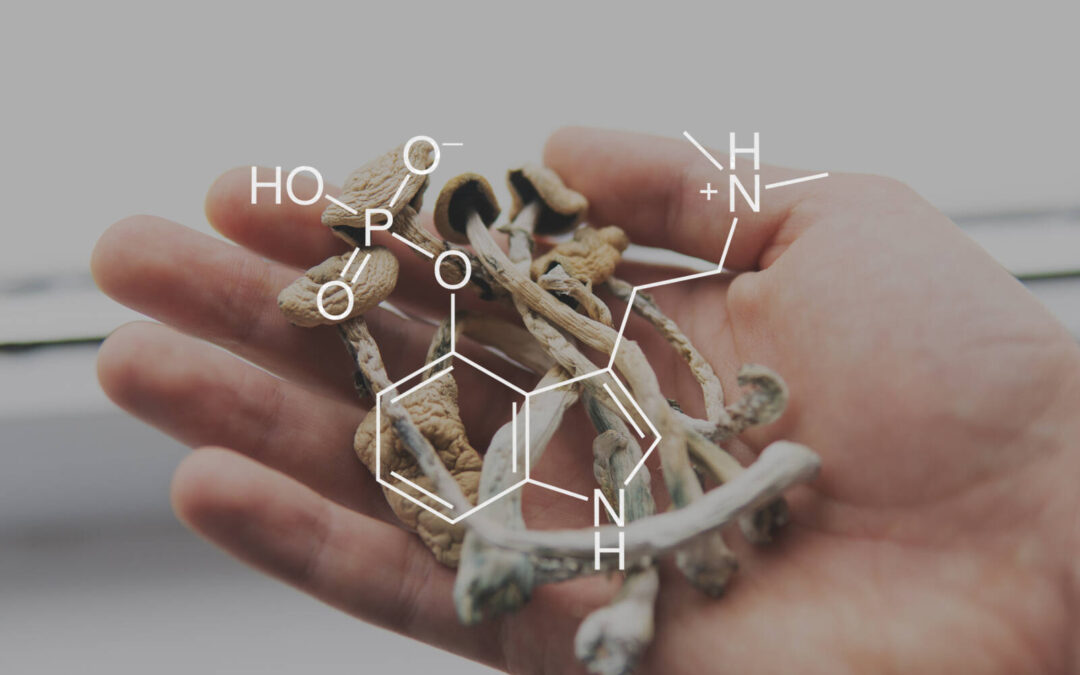 Growing number of Oregon cities vote to ban psychedelic mushroom compound psilocybin