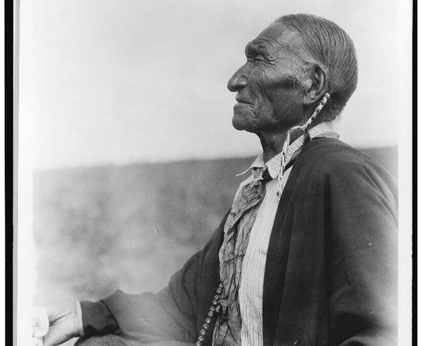 Peyote sacred to Native Americans threatened by psychedelic renaissance and development