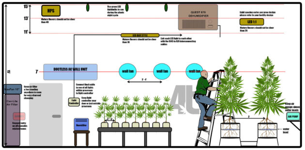 How to build a grow room, the 4trees way