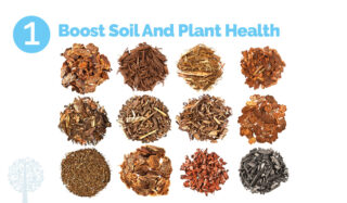 5 Cool Ways Homemade, Natural Solutions Help The Garden Thrive