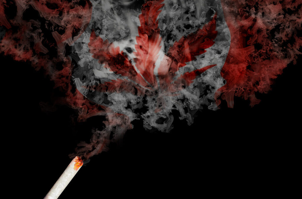 Reflections on the Cannabis Act Legislative Review’s Final Report, Part 1