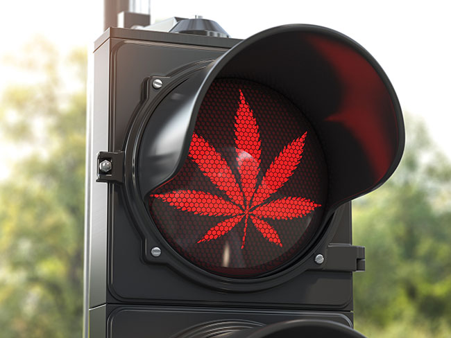 Competition Bureau’s cannabis industry recommendations just the tip of the iceberg