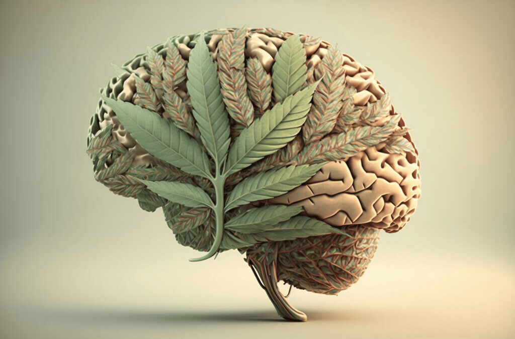 Principles of Clinical Cannabiology, Chapter 4: Medical cannabis regulations, access and products in Europe