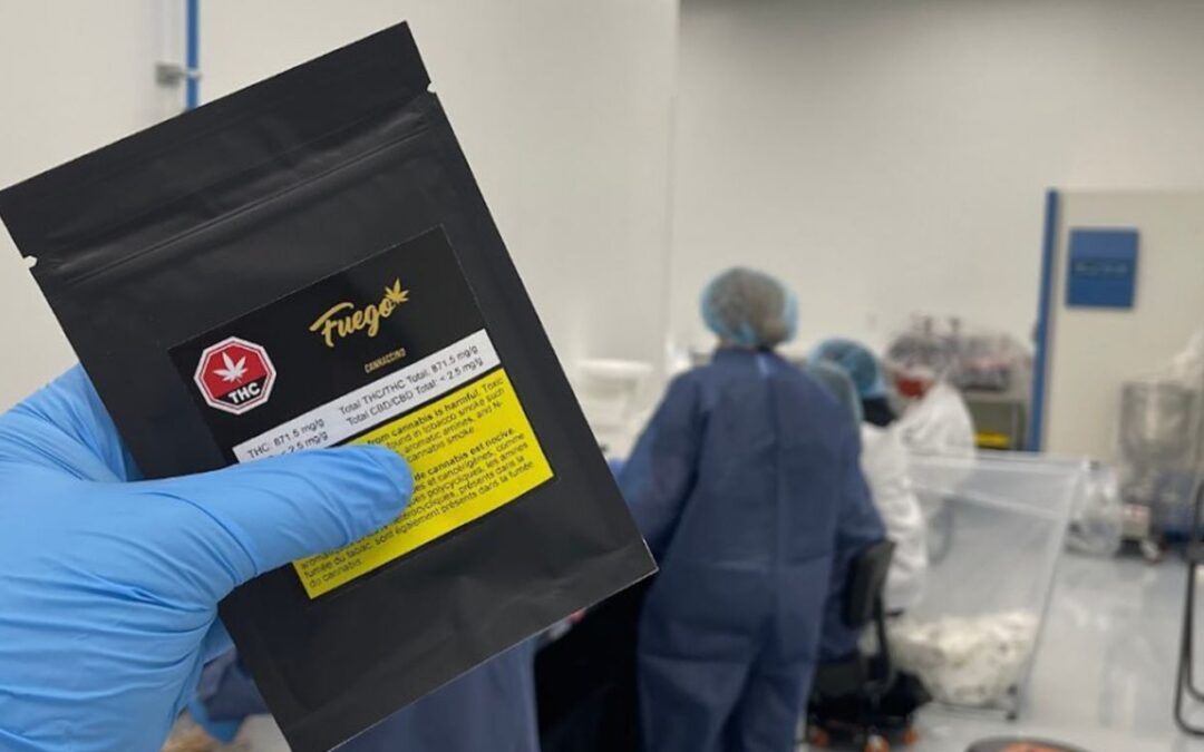 Ayurcann reports record sales growth, but continued loss in Q1 2025