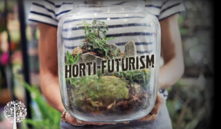 Hey Trendsetter! Here’s What Gardeners Around The World Are Doing In 2024