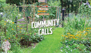 Community gardens, allotments, remediation of concrete jungles are all on trend for 2024
