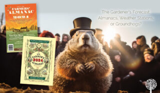 The Gardener’s Forecast: Almanacs, Weather Stations, or Groundhogs?
