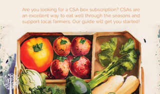 Everything You Need To Know About Subscribing To A CSA Box