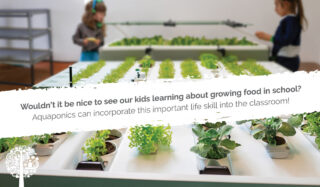 Classroom Aquaponics: Kids Gain Healthy Experience