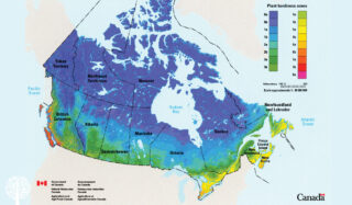 Climate and Hardiness Zones: The Key To A Garden’s Survival Through All Seasons