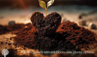 Soil block