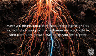 What Is Electroculture Gardening?