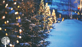 Merry & Bright: Turning The Garden Into A Holiday Treat