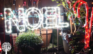 Happy Holidays!