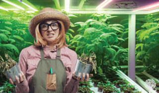Gardening Mistakes Are a Gift to Your Future
