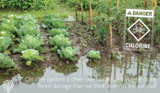 Chlorine and Plants, Almost Everything You Need to Know