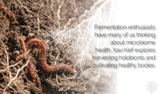 Holobionts In The Garden, Explained!