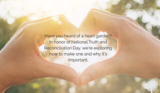 Planting A Heart Garden For Truth And Reconciliation