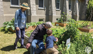 growing in free spaces
