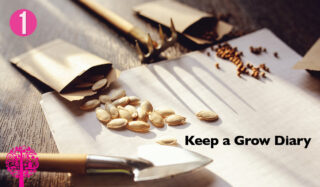 Top 5 Growing Tips To Boost Your Indoor Garden Game