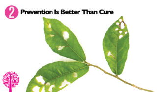 Prevention is better than cure