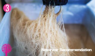 Reservoir recommendation