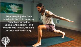 Moments Of Clarity: How Mushrooms Helped Heal A Former NHL Enforcer