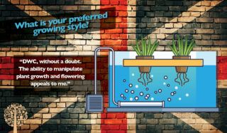 Favorite growing method is DWC- Deep Water Cuture Hydroponics
