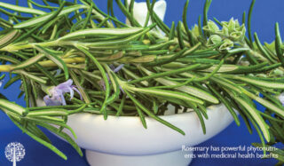 Rosemary