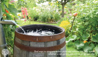 Conserve rain water