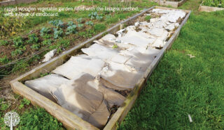 Learn new gardening methods