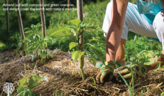 Learn about soil