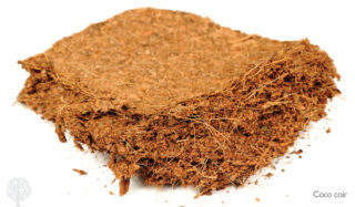 Coco coir