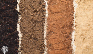 soil types