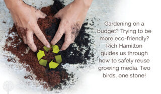 Save Some Green, Go Green By Reusing Growing Media