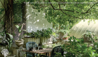 Crop Shading: Using Shade Cloths for Veggie Gardens