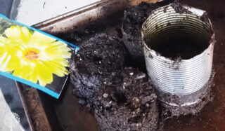 Starting Seeds With Soil Blocks Is Plastic-Free And Easy To Do