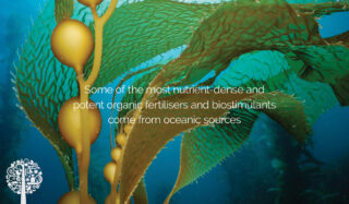 Supercharging Your Plants With Fertilizers From The Sea