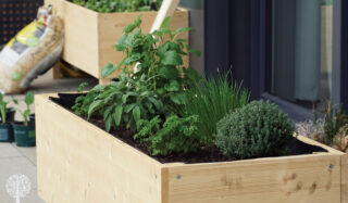 A Simple Guide To Building a Wicking Bed
