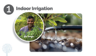 Gardening Tips: 5 Cool Ways to Grow Like a Pro