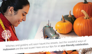 Trick or Treat? These Tricks For An Eco-Friendly Halloween Are A Real Treat!