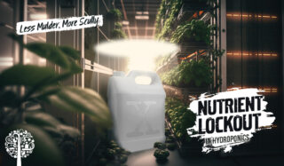 Nutrient Lockout in Hydroponics – Less Mulder, More Scully
