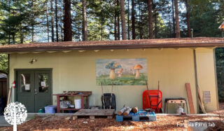 A Deep-Rooted Passion For Mushrooms At Fungaia Farm