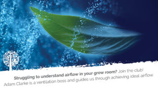 How To Achieve Perfect Airflow In Your Indoor Grow Room