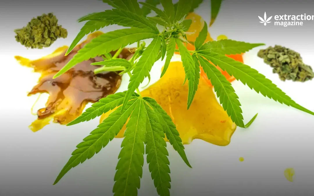 CBD Wax