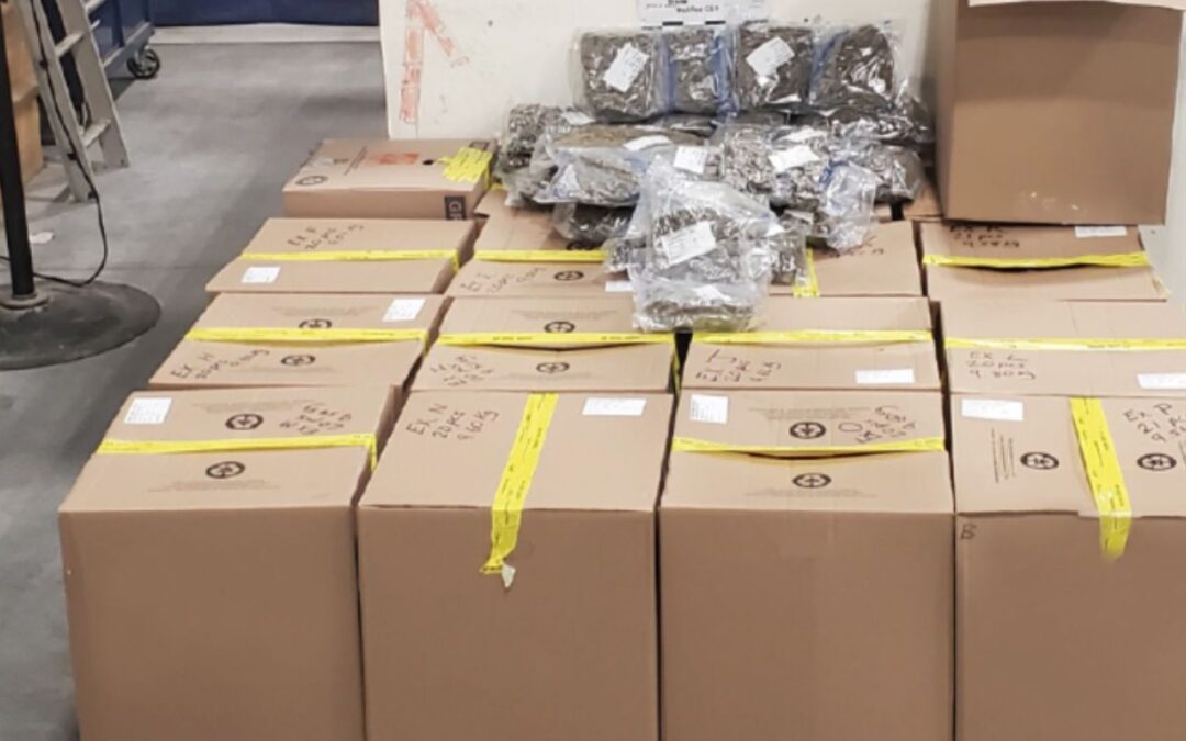 Canada Border Services seize 165 kg of suspected cannabis at the Port of Halifax
