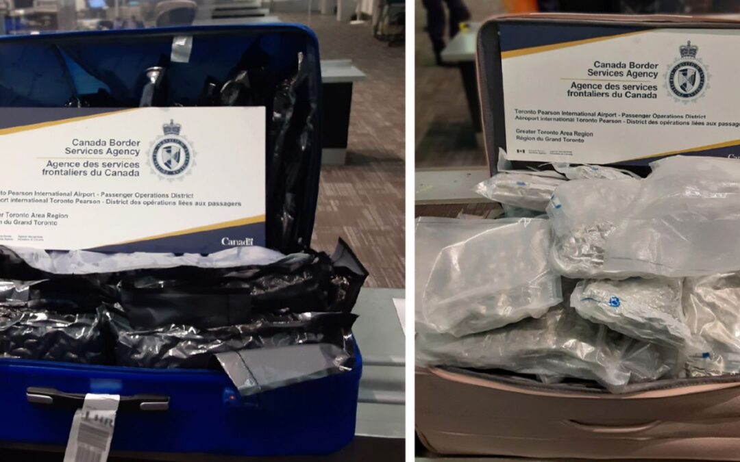 CBSA again seize large quantity of cannabis destined for UK
